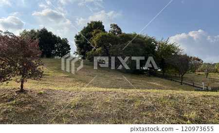 大阪綠地公園 120973655