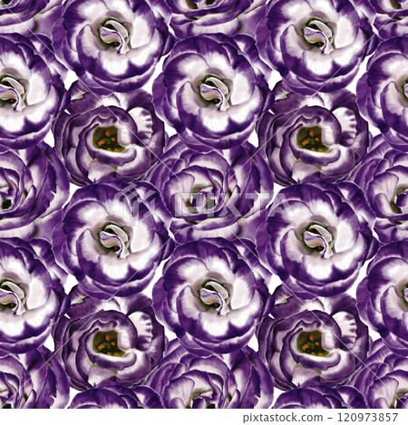 Seamless pattern with Eustoma flowers. Lisianthus flower or bellflower. White and purple. No background. Watercolor illustration.  120973857