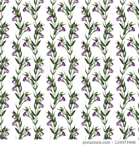 Seamless pattern with Eustoma flowers. Lisianthus flower or bellflower. Leaves and stems are green. White and purple. No background. Watercolor illustration.  120973906