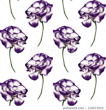 Seamless pattern with Eustoma flowers. Lisianthus flower or bellflower. White and purple in color on a thin stem. Seamless pattern with Eustoma flowers. Lisianthus flower or bellflower. White and purple in color on a thin stem. 120973910