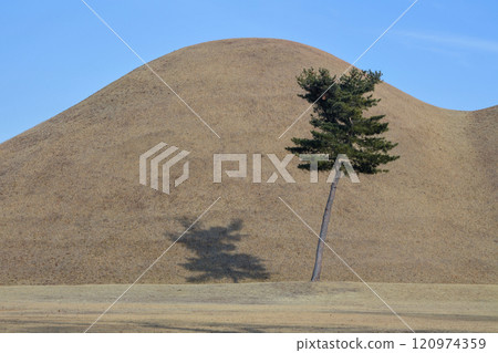 Ancient Silla Dynasty tombs in Korea 120974359