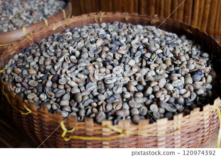 Coffee beans Arabica anroasted organic product in woven basket 120974392