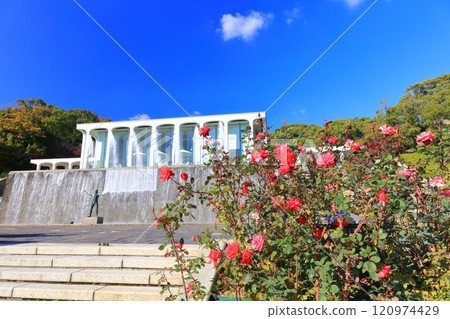 [Hyogo Prefecture] Suma Rikyu Park (Poseidon Square) with roses in full bloom 120974429