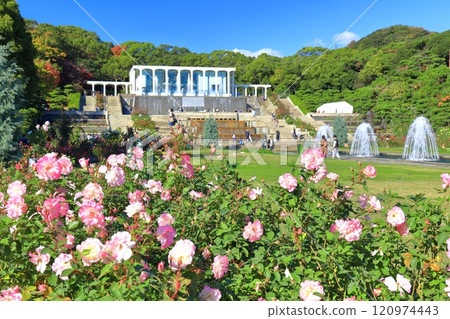 [兵庫縣] 須磨離宮公園（噴泉廣場）玫瑰盛開 120974443