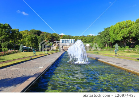 [兵庫縣] 須磨離宮公園（噴泉廣場）玫瑰盛開 120974453