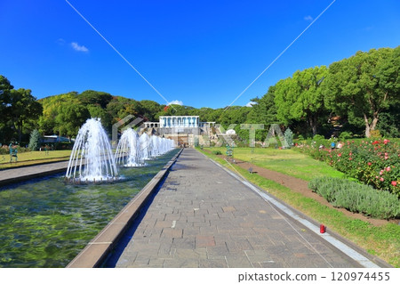 [Hyogo Prefecture] Suma Rikyu Park (Fountain Square) with roses in full bloom 120974455