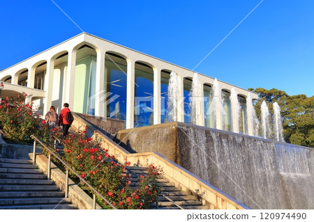 [兵庫縣] 玫瑰盛開的須磨離宮公園（海神廣場） 120974490