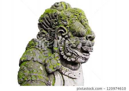 green moss and lichen growing on ancient lion stucco statue is god and belief in Hinduism with religion and culture on the Bali Island isolated on white background with clipping path 120974610
