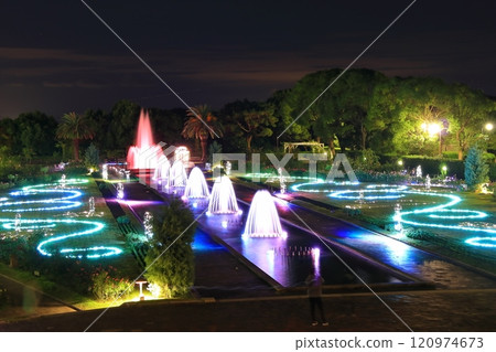 【兵庫縣】須磨離宮公園玫瑰盛開的夜景（紅葉和噴泉的幻想） 120974673