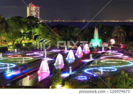 【兵庫縣】須磨離宮公園玫瑰盛開的夜景(紅葉和噴泉的幻想) 【兵庫縣】須磨離宮公園玫瑰盛開的夜景(紅葉和噴泉的幻想) 120974675