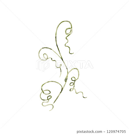 Green twig, pumpkin tendril. Hand drawn watercolor illustration. Ornament, grass, green decorative element. Isolated on white background 120974705