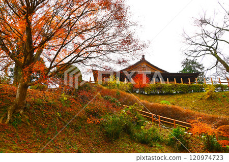 Autumn leaves at Tamotsu Castle Autumn leaves at Tamotsu Castle 120974723