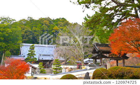 本松山高筒院正門和秋葉 本松山高筒院正門和秋葉 120974725