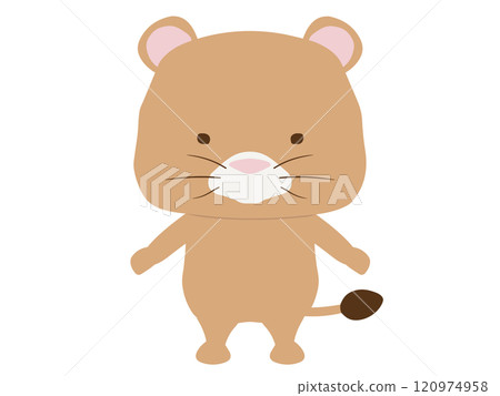 站立的母獅性格 站立的母獅性格 120974958