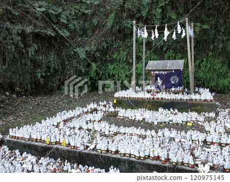 Sasuke Inari Shrine (temporary main shrine) in Kamakura City Sasuke Inari Shrine (temporary main shrine) in Kamakura City 120975145