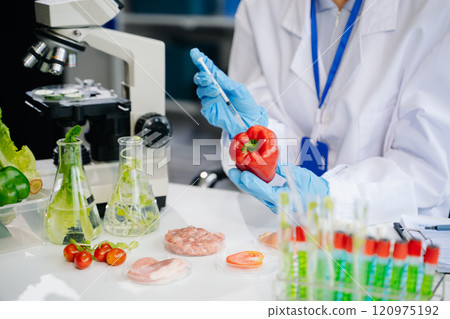 Food science as lab scientists test and analyze vegetables for safety and quality using advanced technology 120975192