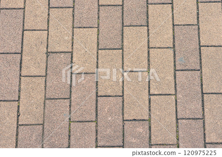 Brick-style paved road Brick-style paved road 120975225