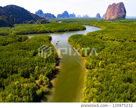 Amazing abundant mangrove forest, Aerial view of forest trees Rainforest ecosystem and healthy environment background, Texture of green trees forest top down, High angle view Amazing abundant mangrove forest, Aerial view of forest trees Rainforest ecosystem and healthy environment background, Texture of green trees forest top down, High angle view 120975232
