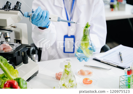 Food science as lab scientists test and analyze vegetables for safety and quality using advanced technology 120975523