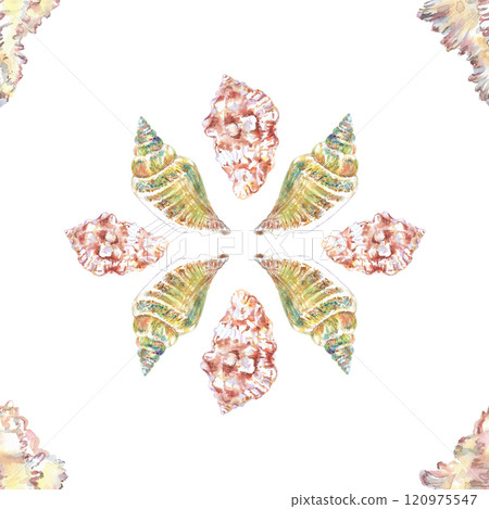 Shell pattern underwater world in watercolor. Murex Endivia, Voluta Virescens, Conch Snail sea shells with different form. Sea snails can be used as a sticker, a printed postcard, poster for a spa 120975547