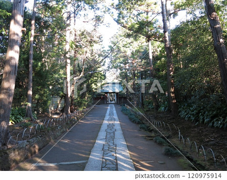 Jufukuji Temple in Kamakura (approach and main gate) 120975914