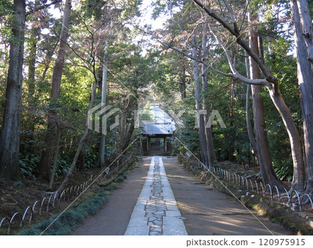 鎌倉市壽福寺（參道、中門、佛堂） 120975915