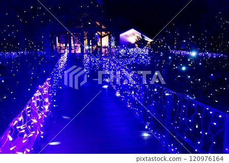 Enoshima Illumination, Fujisawa City, Jewel of Shonan (Samuel Cocking Garden) Enoshima Illumination, Fujisawa City, Jewel of Shonan (Samuel Cocking Garden) 120976164