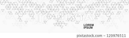 Modern abstract background with triangle and hexagon shapes pattern. Triangular geometric texture for header, web banner, website, presentation 120976511