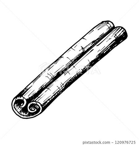 Hand drawn vector clipart of a cinnamon stick in detailed black and white line art. Perfect for use in culinary, holiday, and aromatic-themed designs, packaging, and creative projects. Hand drawn vector clipart of a cinnamon stick in detailed black and white line art. Perfect for use in culinary, holiday, and aromatic-themed designs, packaging, and creative projects. 120976725
