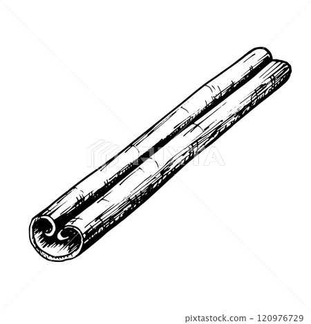 Hand drawn vector illustration of a cinnamon stick in detailed black and white line art. Perfect for use in culinary, holiday, and aromatic-themed designs, packaging, and creative projects. 120976729