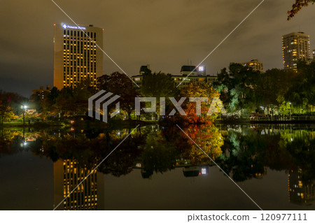 [Hokkaido, Sapporo] Nakajima Park, Autumn leaves illumination, Iris pond 120977111