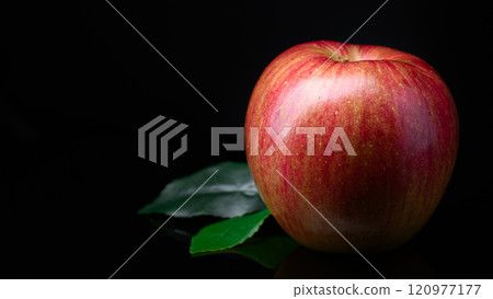 Apple (black background) Apple (black background) 120977177