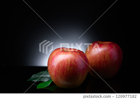 蘋果（黑色背景） 120977182