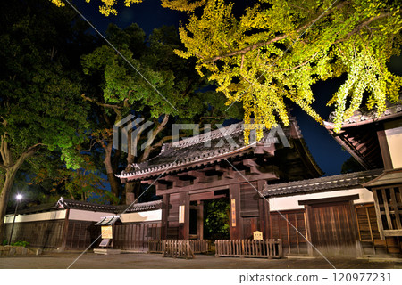[Aichi Prefecture] The illuminated Kuromon Gate of Tokugawa Garden in autumn 120977231