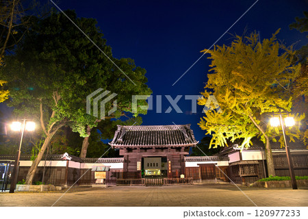 [Aichi Prefecture] The illuminated Kuromon Gate of Tokugawa Garden in autumn 120977233