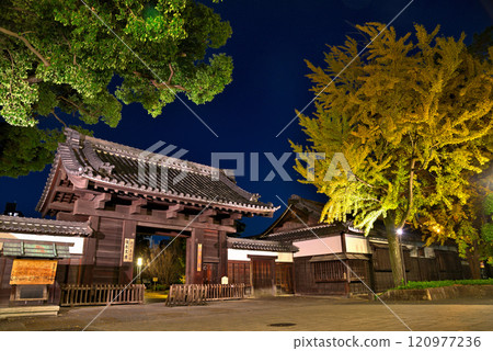 [Aichi Prefecture] The illuminated Kuromon Gate of Tokugawa Garden in autumn 120977236