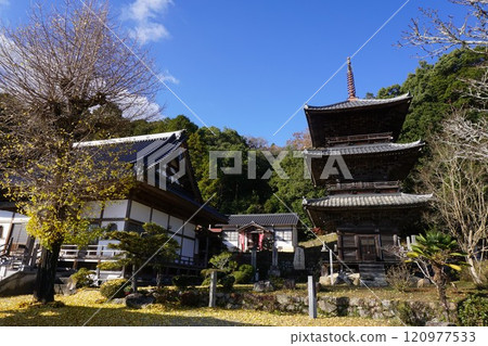 岡山縣岡山市北區日蓮宗寺廟成壽寺：三層寶塔與正殿 120977533