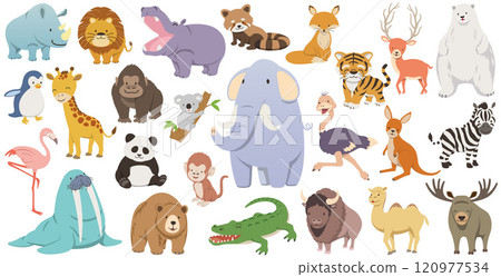可愛的野生動物插圖集 120977534