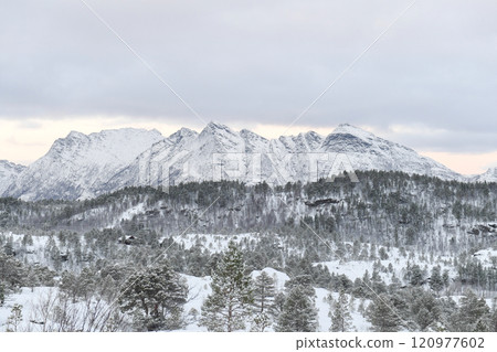 Arctic Norway in Winter 120977602