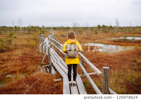 Woman traveler in a yellow coat walks along a wooden walking path along the wetlands. Back view. 120978624