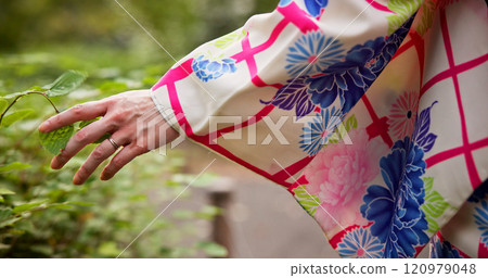 Woman, hands and leaves with kimono, park and travel for journey and natural sustainability. Japanese person, cultural fashion and plants or bushes with nature, garden and outdoor walk for relaxation 120979048