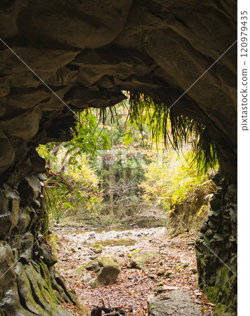 養老谷的秋葉 120979435