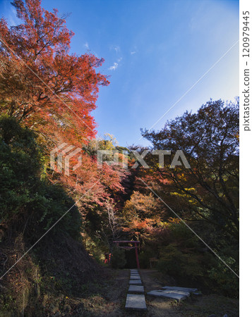 Yoro Valley in autumn colors Yoro Valley in autumn colors 120979445