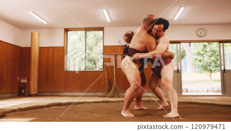 Japanese wrestlers, sumo and fight in game, tradition or culture in dohyo ring. Men, wrestling and training for grappling sport, performance match and martial arts for fitness or combat competition 120979471