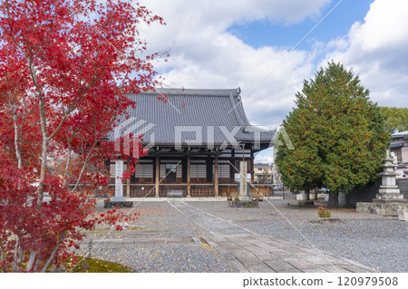 秋天的京都,妙覺寺(妙覺寺),被秋葉覆蓋的寺院 秋天的京都,妙覺寺(妙覺寺),被秋葉覆蓋的寺院 120979508
