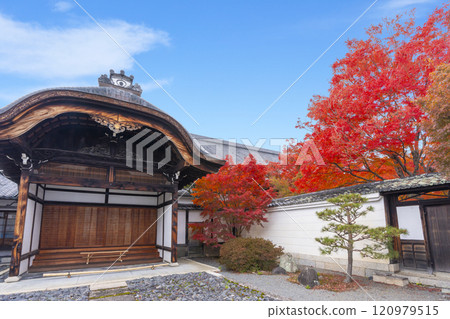 Autumn in Kyoto: Myokakuji Temple (Myokakuji) - Bright red maples and the main entrance 120979515