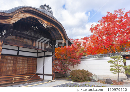 京都的秋天,妙覺寺(妙覺寺),鮮紅的楓葉和正門 京都的秋天,妙覺寺(妙覺寺),鮮紅的楓葉和正門 120979520