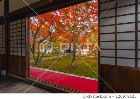 Autumn in Kyoto: Myokakuji Temple (Myokakuji) - Hosshi-en Garden surrounded by autumn leaves 120979523