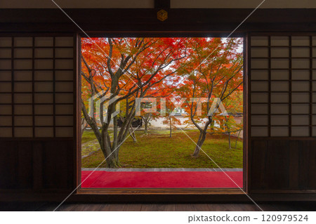 秋天的京都、妙覺寺(妙覺寺)、紅葉覆蓋的寶修園 秋天的京都、妙覺寺(妙覺寺)、紅葉覆蓋的寶修園 120979524