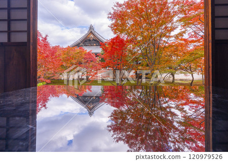 秋天的京都、妙覺寺(妙覺寺)、紅葉覆蓋的寶修園 秋天的京都、妙覺寺(妙覺寺)、紅葉覆蓋的寶修園 120979526